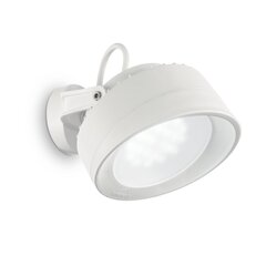 Настенный светильник Tommy Ap Bianco 4000K 145303 цена и информация | Уличное освещение | kaup24.ee