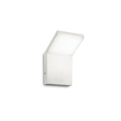 Настенный светильник Style Ap Bianco 4000K 221502 цена и информация | Уличное освещение | kaup24.ee