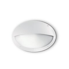 Настенный светильник Maddi-2 Ap1 Bianco 96735 цена и информация | Уличное освещение | kaup24.ee