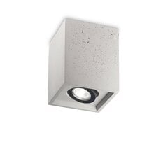 Потолочный светильник Oak Pl1 Square Cement 150475 цена и информация | Потолочные светильники | kaup24.ee