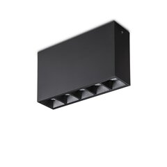 Потолочный светильник Lika 10W Surface Bk 244884 цена и информация | Потолочные светильники | kaup24.ee