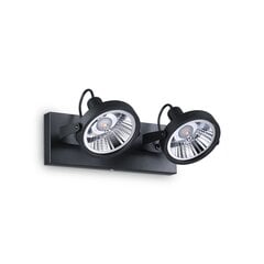 Потолочно-настенный светильник Glim Pl2 Nero 200248 цена и информация | Потолочные светильники | kaup24.ee