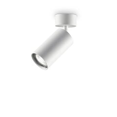 Потолочный светильник Dynamite Pl1 Bianco 231495 цена и информация | Потолочные светильники | kaup24.ee