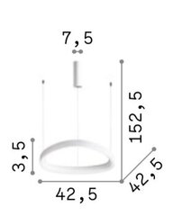 Настенный светильник Flash_AP1_Cromo цена и информация | Потолочный светильник, 38 x 38 x 24 см | kaup24.ee