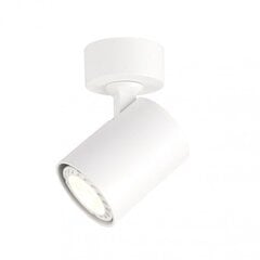 Настенный светильник Flash_AP1_Cromo цена и информация | Потолочные светильники | kaup24.ee