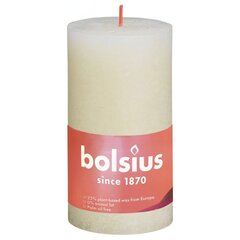 Bolsius sammasküünlad Shine 6 tk 130 x 68 mm pärlihall цена и информация | Свечи, подсвечники | kaup24.ee