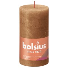 Bolsius sammasküünlad Shine 6 tk 130 x 68 mm vürtsipruun hind ja info | Küünlad, küünlajalad | kaup24.ee