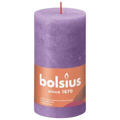 Bolsius sammasküünlad Shine 6 tk 130x68 mm erkvioletne hind ja info | Küünlad, küünlajalad | kaup24.ee
