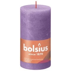 Bolsius sammasküünlad Shine 6 tk 130x68 mm erkvioletne цена и информация | Подсвечники, свечи | kaup24.ee