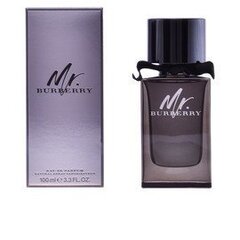 Meeste parfüüm Mr Burberry Burberry EDP: Maht - 100 ml цена и информация | Мужские духи | kaup24.ee