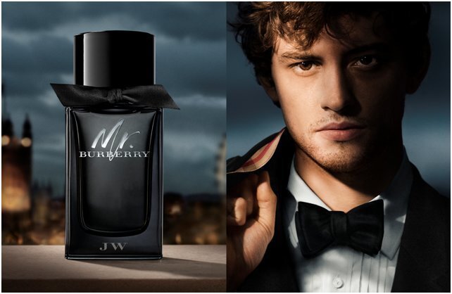 Meeste parfüüm Mr Burberry Burberry EDP: Maht - 100 ml цена и информация | Meeste parfüümid | kaup24.ee