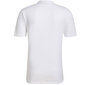 Meeste T-särk Adidas Entrada 22 Graphic Jersey M HF0131, valge hind ja info | Meeste spordiriided | kaup24.ee