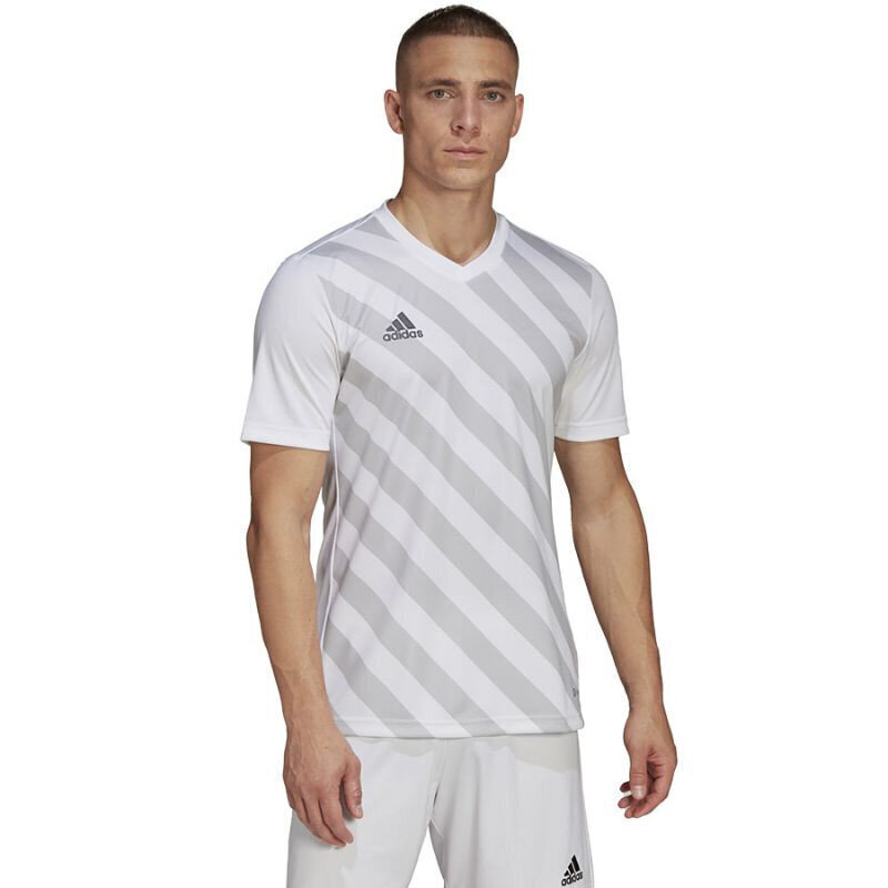 Meeste T-särk Adidas Entrada 22 Graphic Jersey M HF0131, valge hind ja info | Meeste spordiriided | kaup24.ee