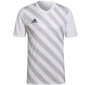 Meeste T-särk Adidas Entrada 22 Graphic Jersey M HF0131, valge hind ja info | Meeste spordiriided | kaup24.ee