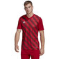 Meeste T-särk Adidas Entrada 22 Graphic Jersey, punane hind ja info | Meeste spordiriided | kaup24.ee