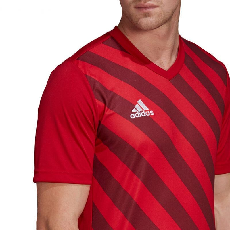 Meeste T-särk Adidas Entrada 22 Graphic Jersey, punane hind ja info | Meeste spordiriided | kaup24.ee