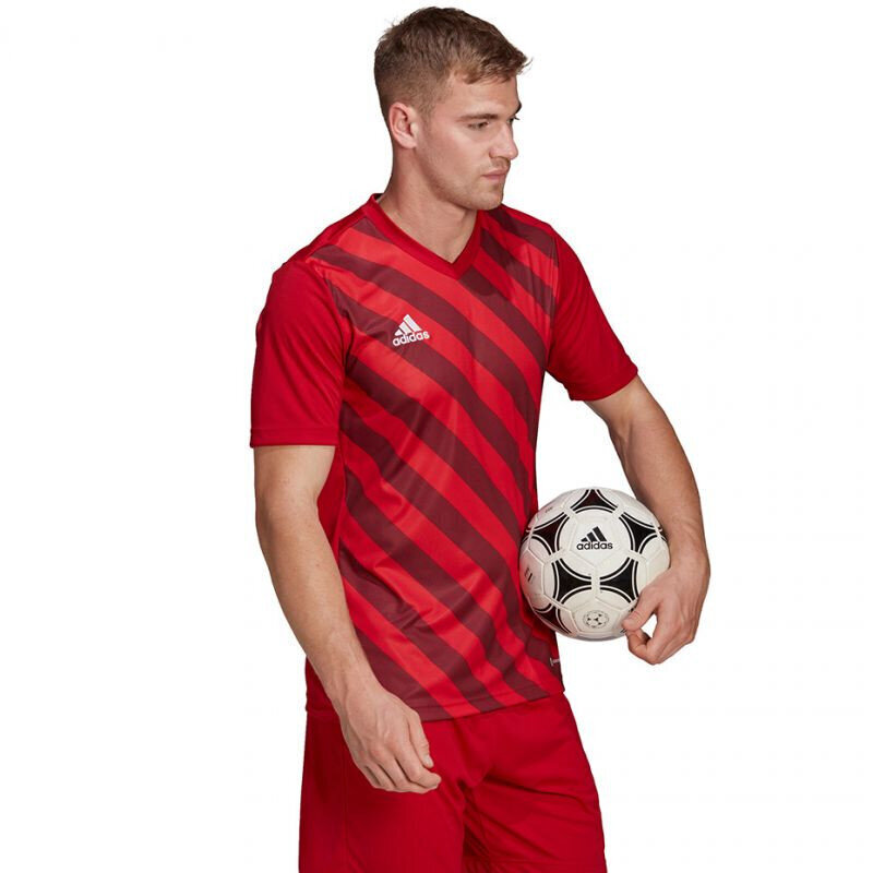 Meeste T-särk Adidas Entrada 22 Graphic Jersey, punane hind ja info | Meeste spordiriided | kaup24.ee