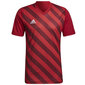 Meeste T-särk Adidas Entrada 22 Graphic Jersey, punane hind ja info | Meeste spordiriided | kaup24.ee