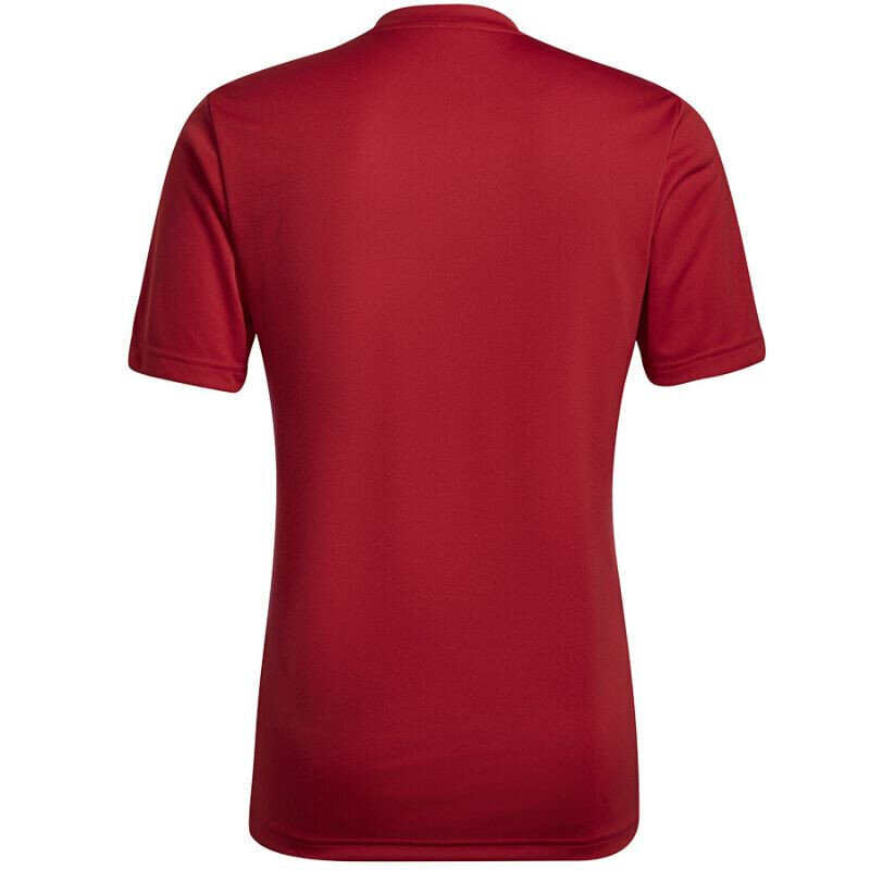 Meeste T-särk Adidas Entrada 22 Graphic Jersey, punane hind ja info | Meeste spordiriided | kaup24.ee