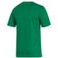 Meeste T-särk Adidas Entrada 22 Jersey, roheline цена и информация | Meeste spordiriided | kaup24.ee