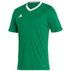 Meeste T-särk Adidas Entrada 22 Jersey, roheline цена и информация | Мужская спортивная одежда | kaup24.ee