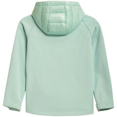 Куртка для девочек 4F Jr HJZ21 JSFD002A 47S, зеленая цена и информация | Куртки, пальто для девочек | kaup24.ee