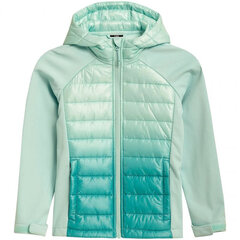 Куртка для девочек 4F Jr HJZ21 JSFD002A 47S, зеленая цена и информация | Куртки, пальто для девочек | kaup24.ee