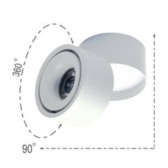 Punktpinnaga LED valgusti 15W Valge hind ja info | Seinavalgustid | kaup24.ee