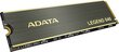 ADATA ALEG-840-512GCS hind ja info | Sisemised kõvakettad (HDD, SSD, Hybrid) | kaup24.ee