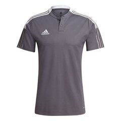 Мужская футболка Adidas Tiro 21 Polo M GM7364, серая цена и информация | Мужская спортивная одежда | kaup24.ee