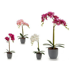 Dekoratiivne lill Plastikust orhidee hind ja info | Kunstlilled | kaup24.ee