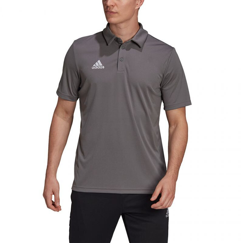 Meeste spordisärk Adidas Entrada 22 Polo, hall hind ja info | Meeste spordiriided | kaup24.ee