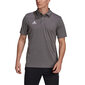 Meeste spordisärk Adidas Entrada 22 Polo, hall цена и информация | Meeste spordiriided | kaup24.ee