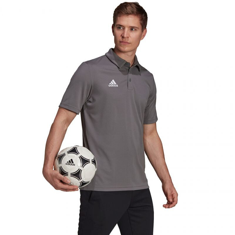 Meeste spordisärk Adidas Entrada 22 Polo, hall цена и информация | Meeste spordiriided | kaup24.ee