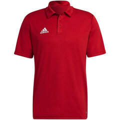 Meeste spordisärk Adidas Entrada 22 Polo, punane цена и информация | Мужская спортивная одежда | kaup24.ee