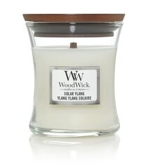 WoodWick lõhnaküünal Solar Ylang, 85 g цена и информация | Подсвечники, свечи | kaup24.ee