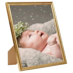 vidaXL pildiraamikomplekt seinale või lauale, kuldne, 13x18 cm, MDF цена и информация | Рамки, фотоальбомы | kaup24.ee