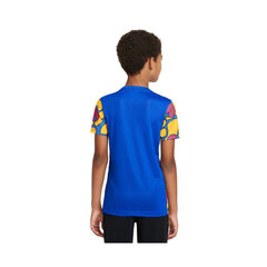 Футболка для мальчиков Nike Dri-Fit GX DM4409-719 цена и информация | Рубашки для мальчиков | kaup24.ee