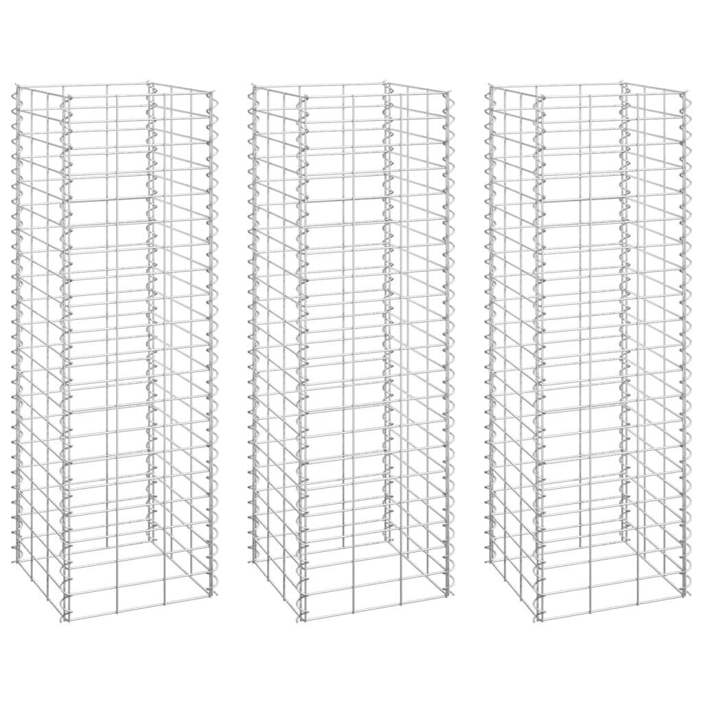 vidaXL gabioon taimelavad 3tk, 30 x 30 x 100 cm, raud hind ja info | Istutus- ja turbapotid | kaup24.ee