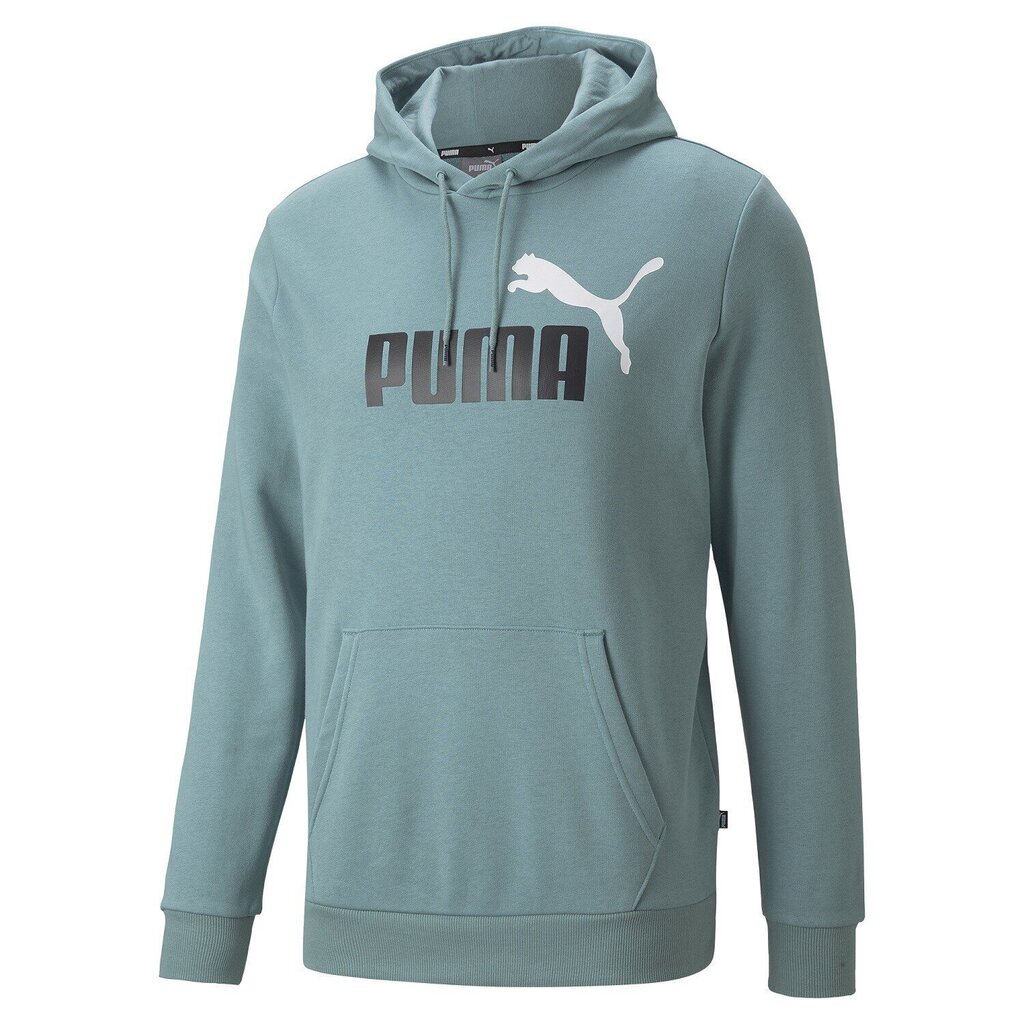 Puma meeste dressipluus 586765*50, münt/must 4064535733532 hind ja info | Meeste spordiriided | kaup24.ee