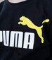 Puma laste T-särk 586985*97, must/valge 4064535433739 hind ja info | Poiste särgid | kaup24.ee