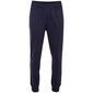 Meeste dressipüksid Kappa Jelge Pants M 310013 19-4010 hind ja info | Meeste spordiriided | kaup24.ee