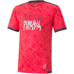 T-särk poistele Puma Neymar 60559508 hind ja info | Poiste särgid | kaup24.ee