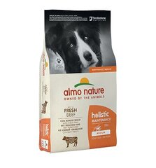 Almo Nature Holistic Maintenance koertele suurusega M, veiselihaga, 12 kg hind ja info | Kuivtoit koertele | kaup24.ee