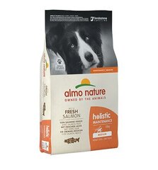 Almo Nature Holistic Maintenance M suuruses koertele, lõhega, 12 kg цена и информация | Сухой корм для собак | kaup24.ee