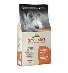 Almo Nature Holistic Maintenance XS/S suuruses koertele, anšoovistega, 12 kg hind ja info | Kuivtoit koertele | kaup24.ee