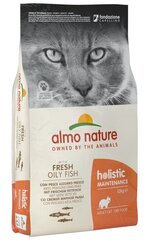 Almo Nature Holistic Maintenance täiskasvanud kassidele anšoovistega, 12 kg цена и информация | Сухой корм для кошек | kaup24.ee