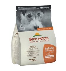 Almo Nature Holistic Maintenance XS/S suuruses koertele, anšoovistega, 2 kg hind ja info | Kuivtoit koertele | kaup24.ee