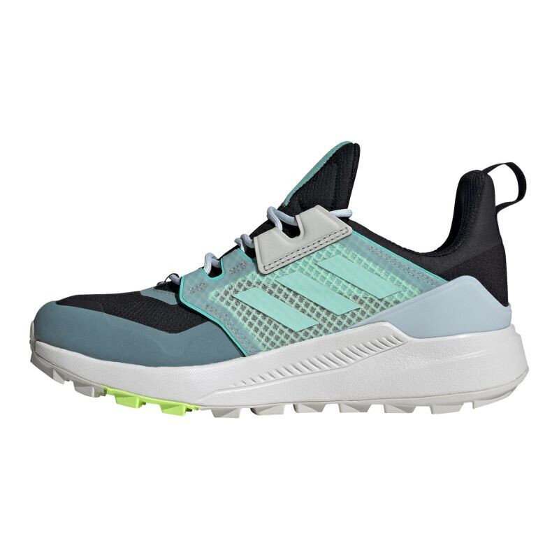 Naiste matkasaapad Adidas Terrex Trailmaker GTX W FX4694, sinine цена и информация | Naiste spordi- ja vabaajajalatsid | kaup24.ee