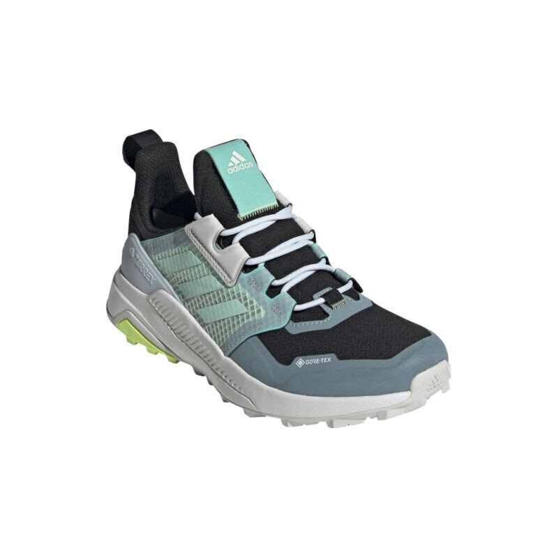 Naiste matkasaapad Adidas Terrex Trailmaker GTX W FX4694, sinine цена и информация | Naiste spordi- ja vabaajajalatsid | kaup24.ee